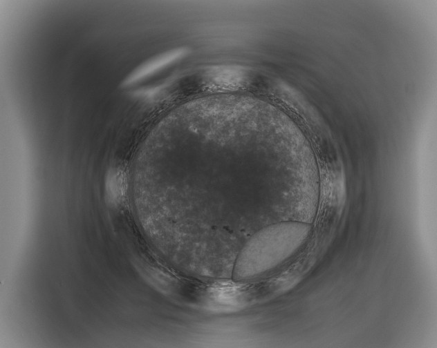 X0000116600701200912111114