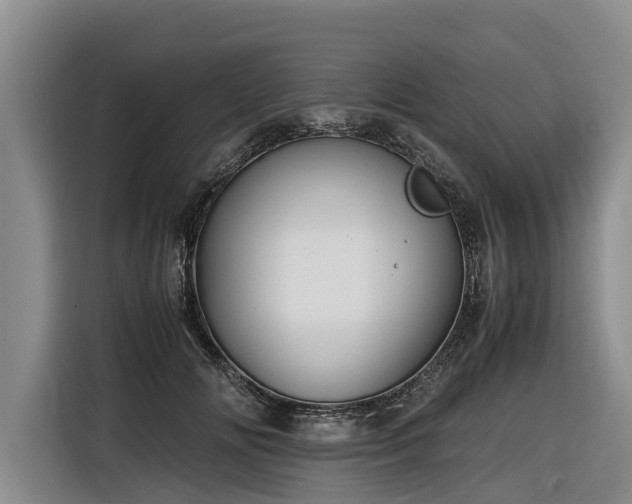 X0000116600702200912111114