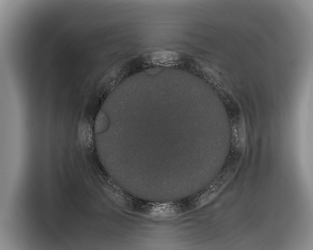 X0000116600705200912111114