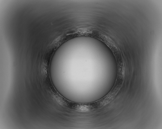 X0000116600710200912111114