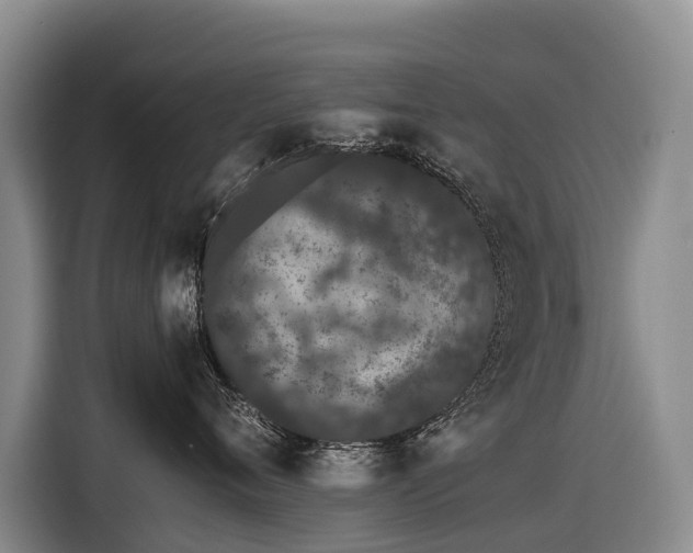 X0000116600720200912111114