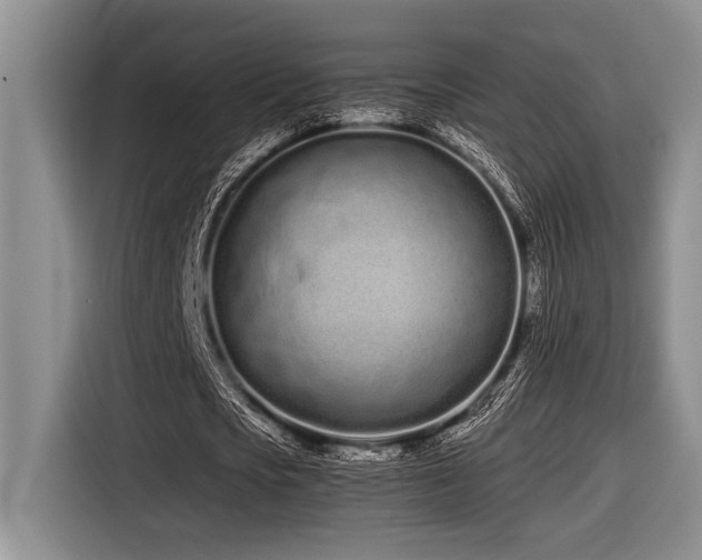 X0000116600721200912111113
