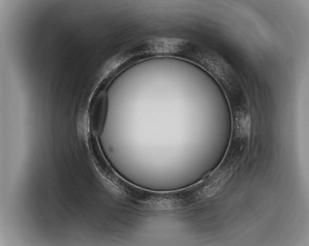 X0000116600726200912111113