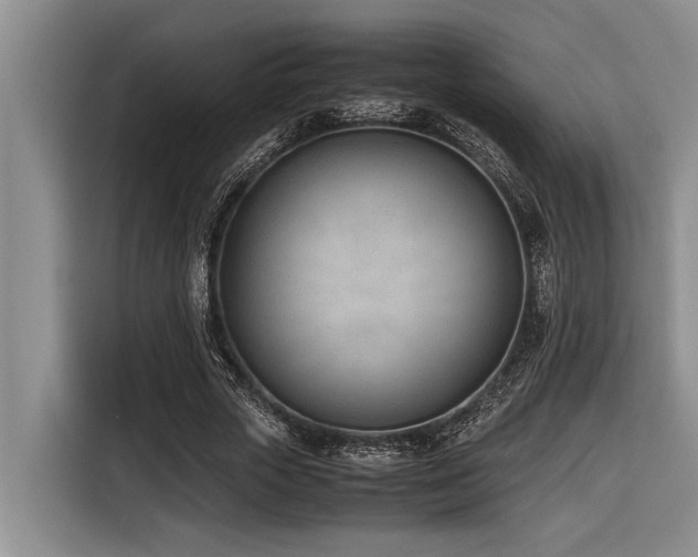 X0000116600729200912111113