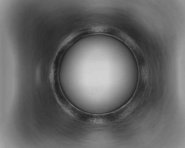 X0000116600730200912111113