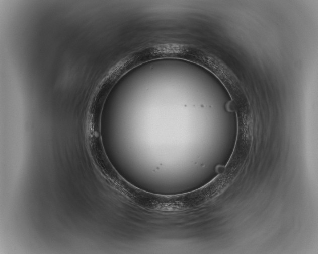 X0000116600731200912111113