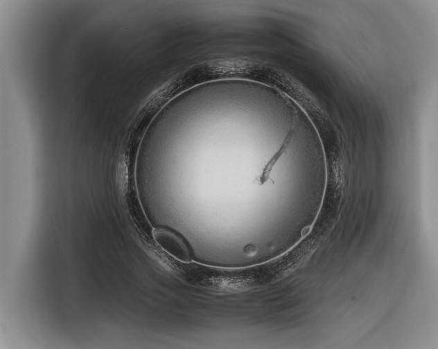 X0000116600733200912111113