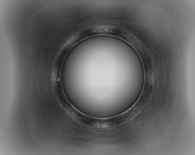 X0000116600735200912111113