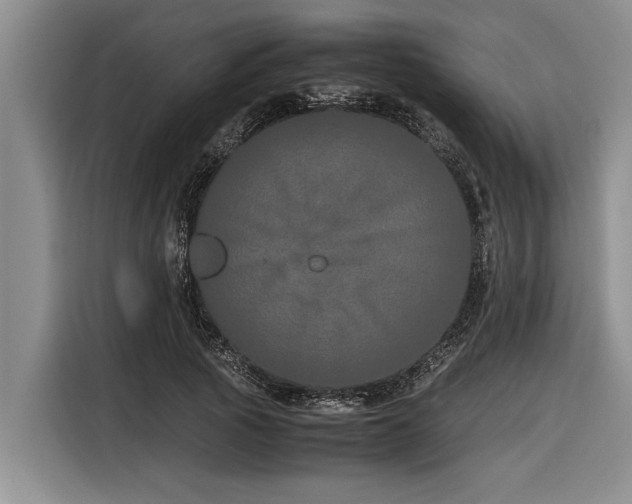 X0000116600737200912111113