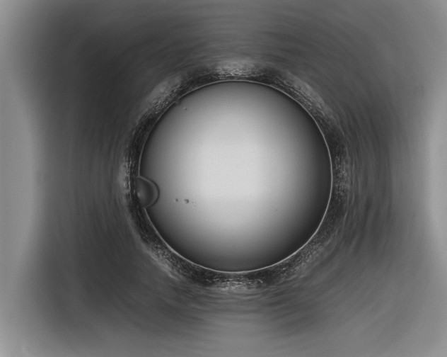 X0000116600738200912111113
