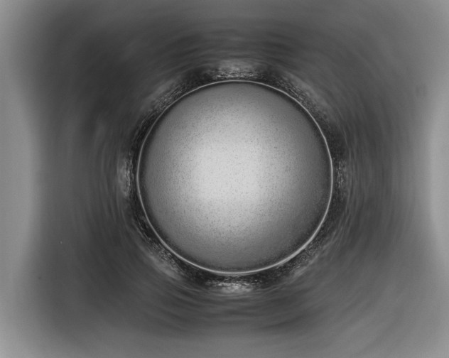 X0000116600741200912111113
