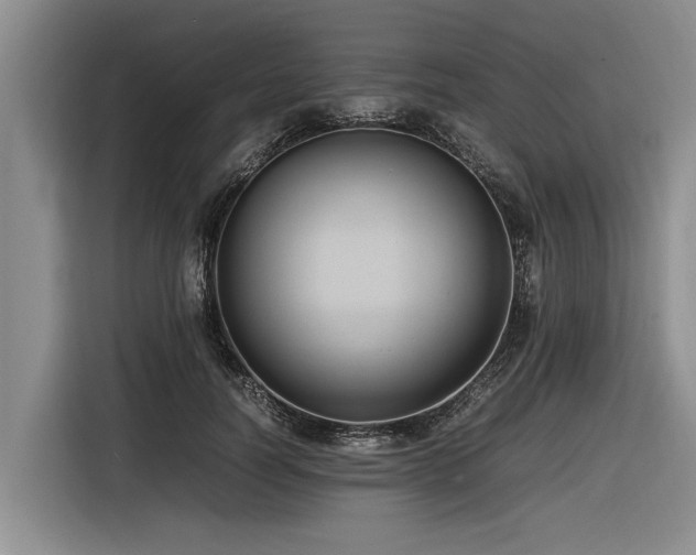 X0000116600746200912111113