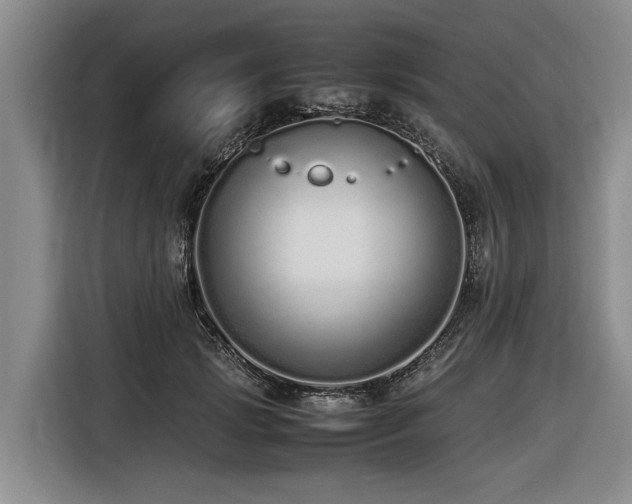 X0000116600749200912111113