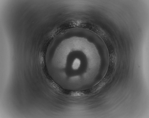 X0000116600754200912111114