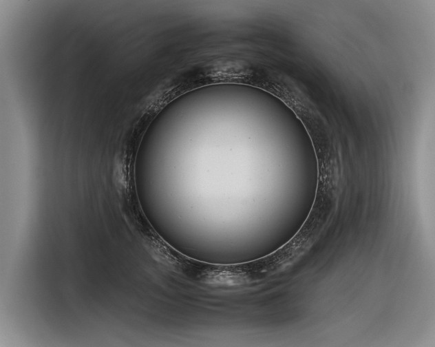X0000116600755200912111114
