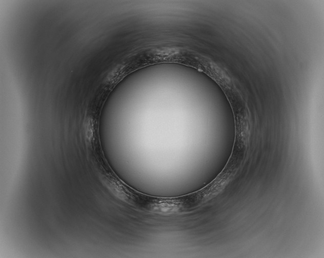 X0000116600758200912111114