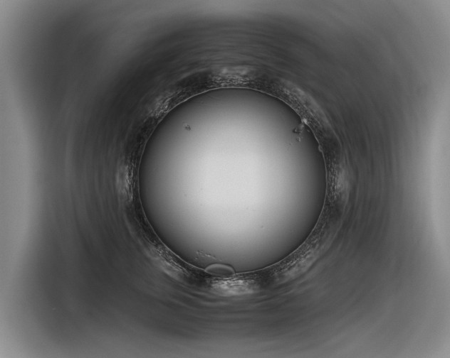 X0000116600759200912111114