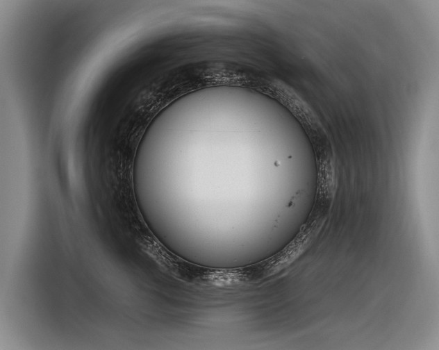 X0000116600762200912111114