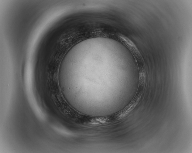 X0000116600765200912111114