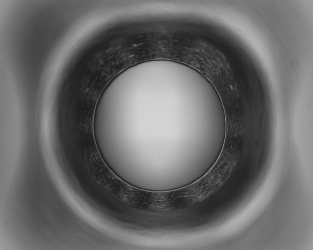 X0000116600766200912111114