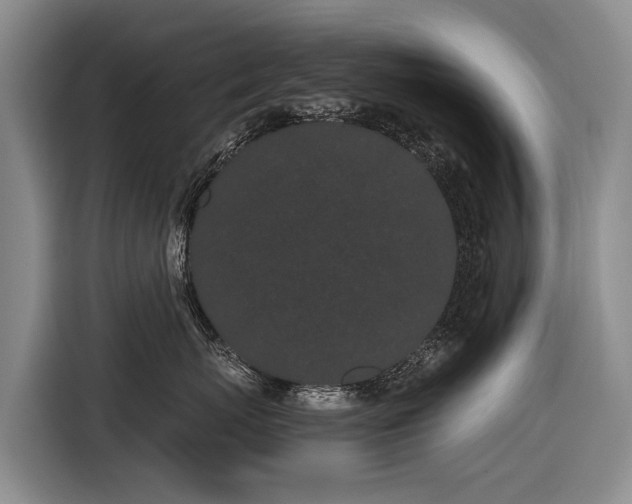 X0000116600767200912111114