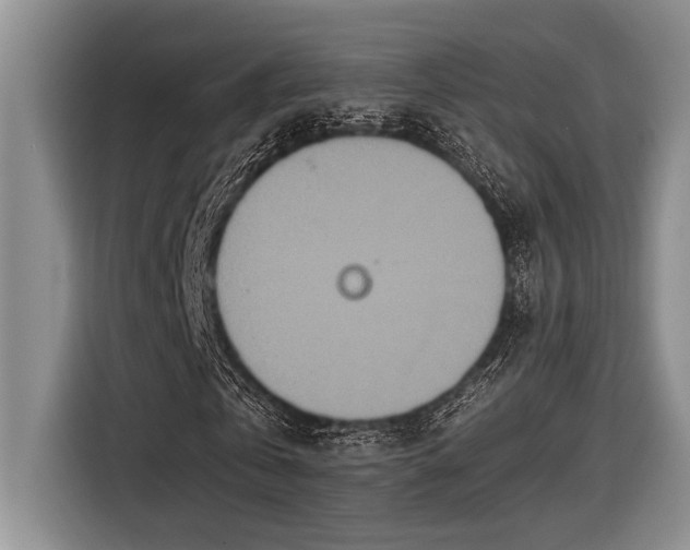 X0000116600769200912111113