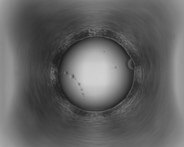 X0000116600770200912111113