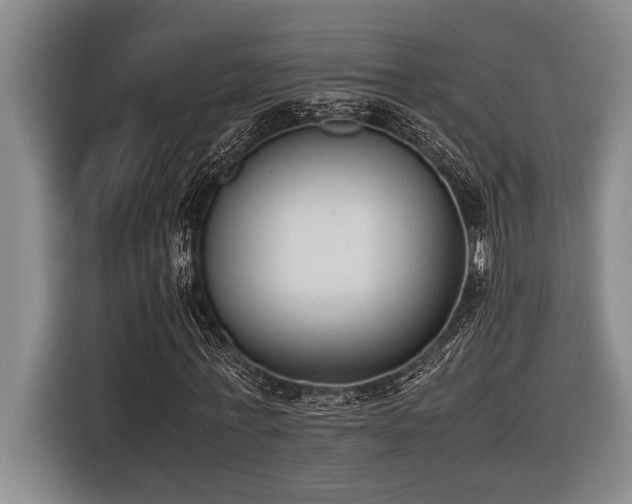 X0000116600771200912111113