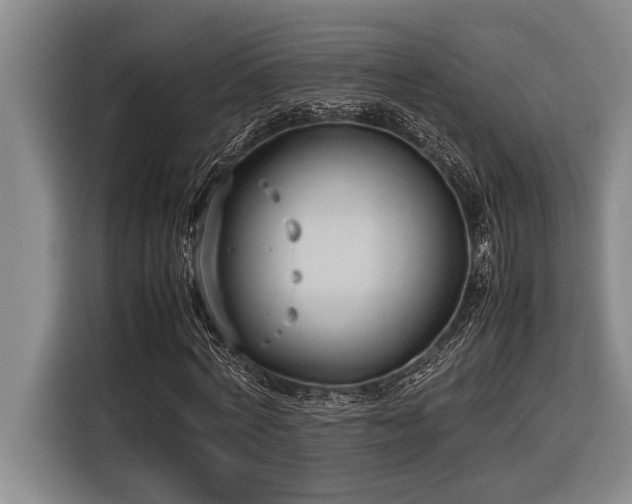 X0000116600772200912111113