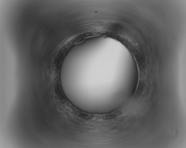 X0000116600773200912111113