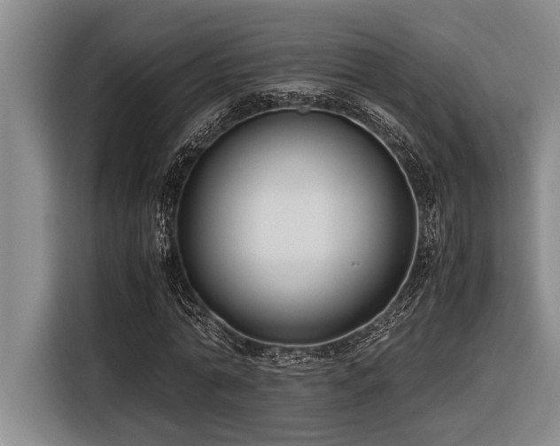 X0000116600774200912111113