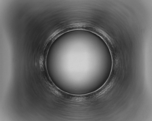 X0000116600778200912111113