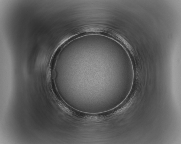 X0000116600779200912111113