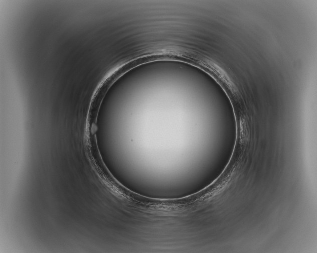 X0000116600780200912111113