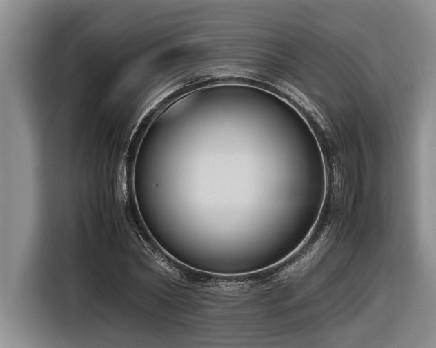 X0000116600782200912111113