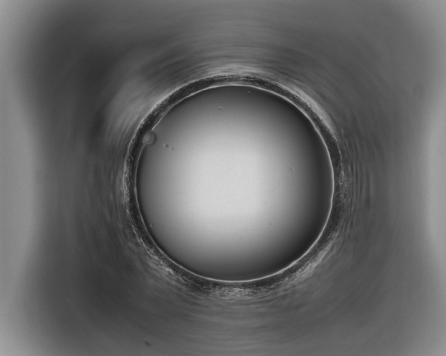 X0000116600783200912111113
