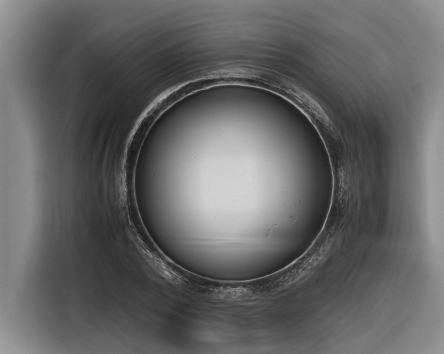 X0000116600784200912111113
