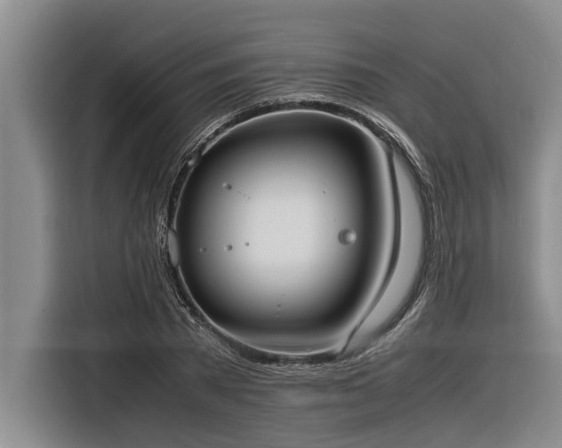 X0000116600785200912111113