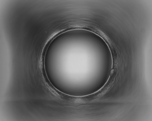 X0000116600787200912111113