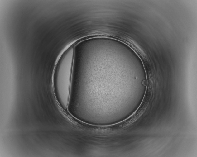 X0000116600788200912111113