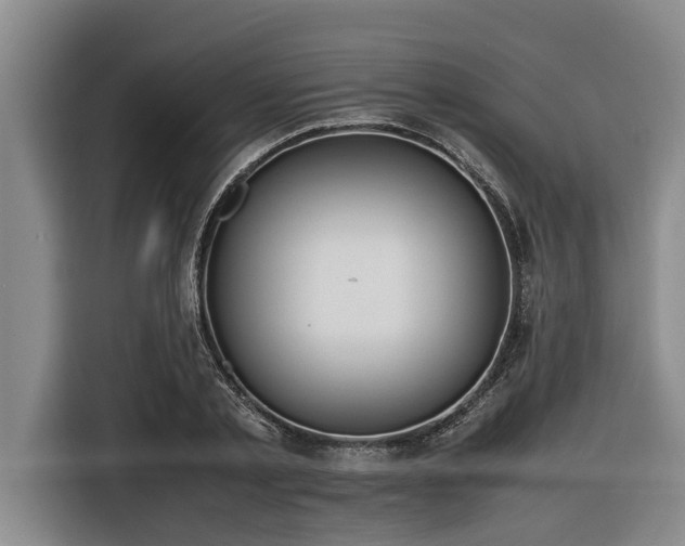 X0000116600789200912111113
