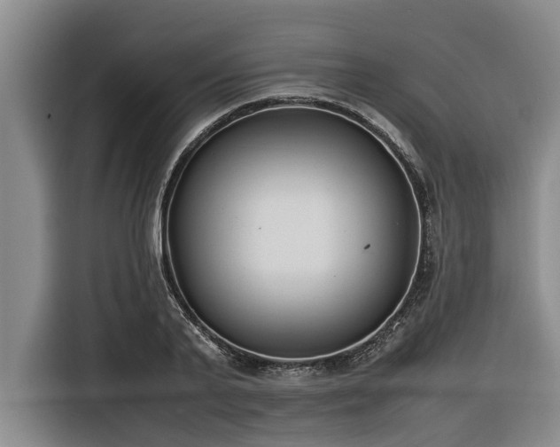 X0000116600791200912111113
