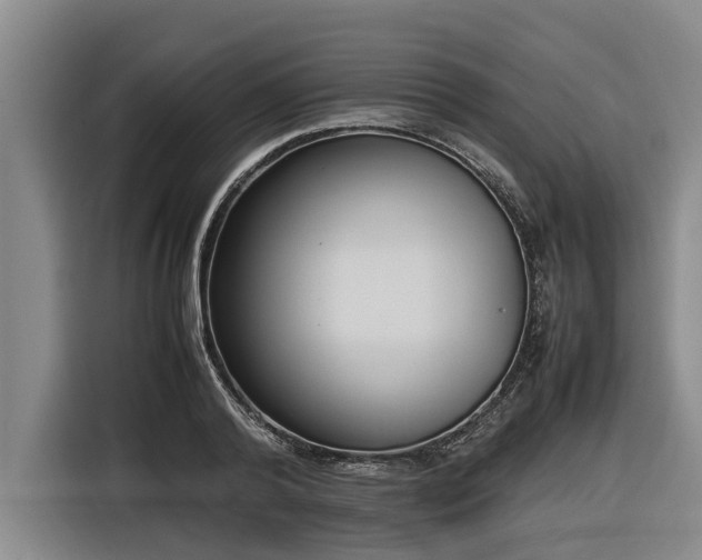 X0000116600792200912111113