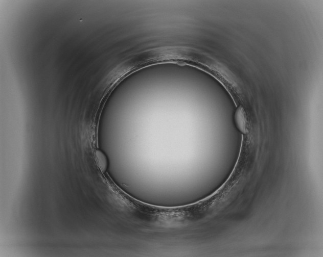X0000116600793200912111113