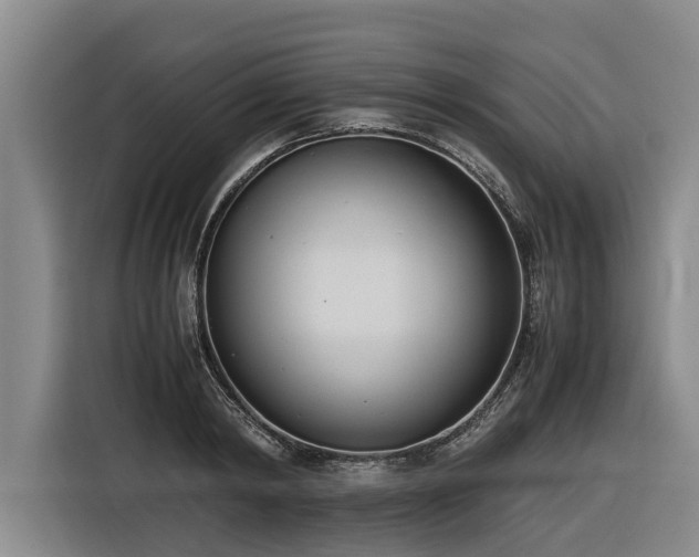 X0000116600798200912111113