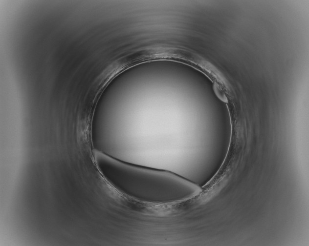 X0000116600801200912111113