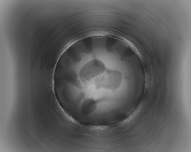 X0000116600802200912111113