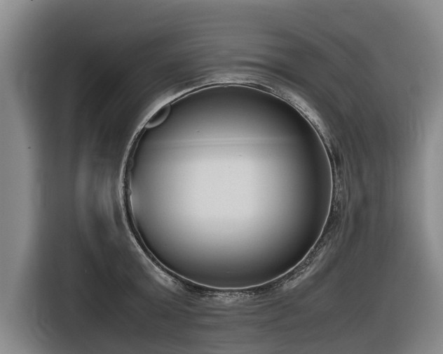 X0000116600803200912111113