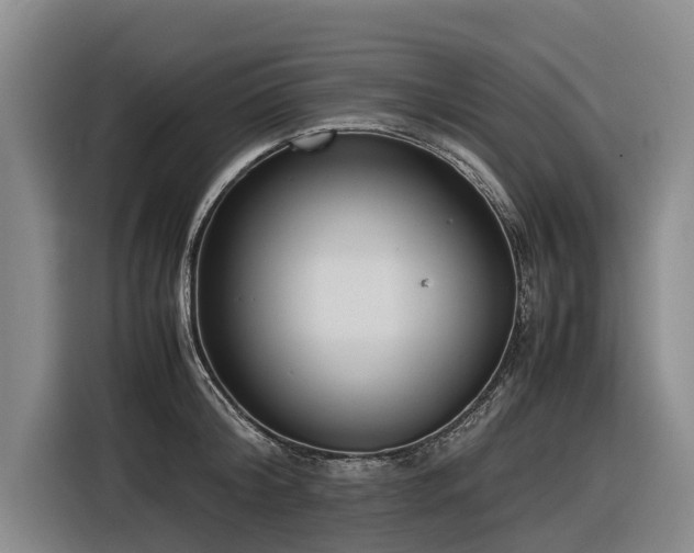 X0000116600804200912111113