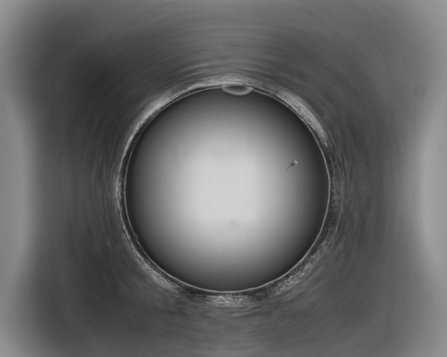 X0000116600805200912111113
